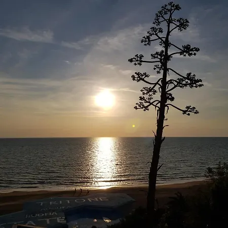 Poggio Degli Oleandri Holiday home